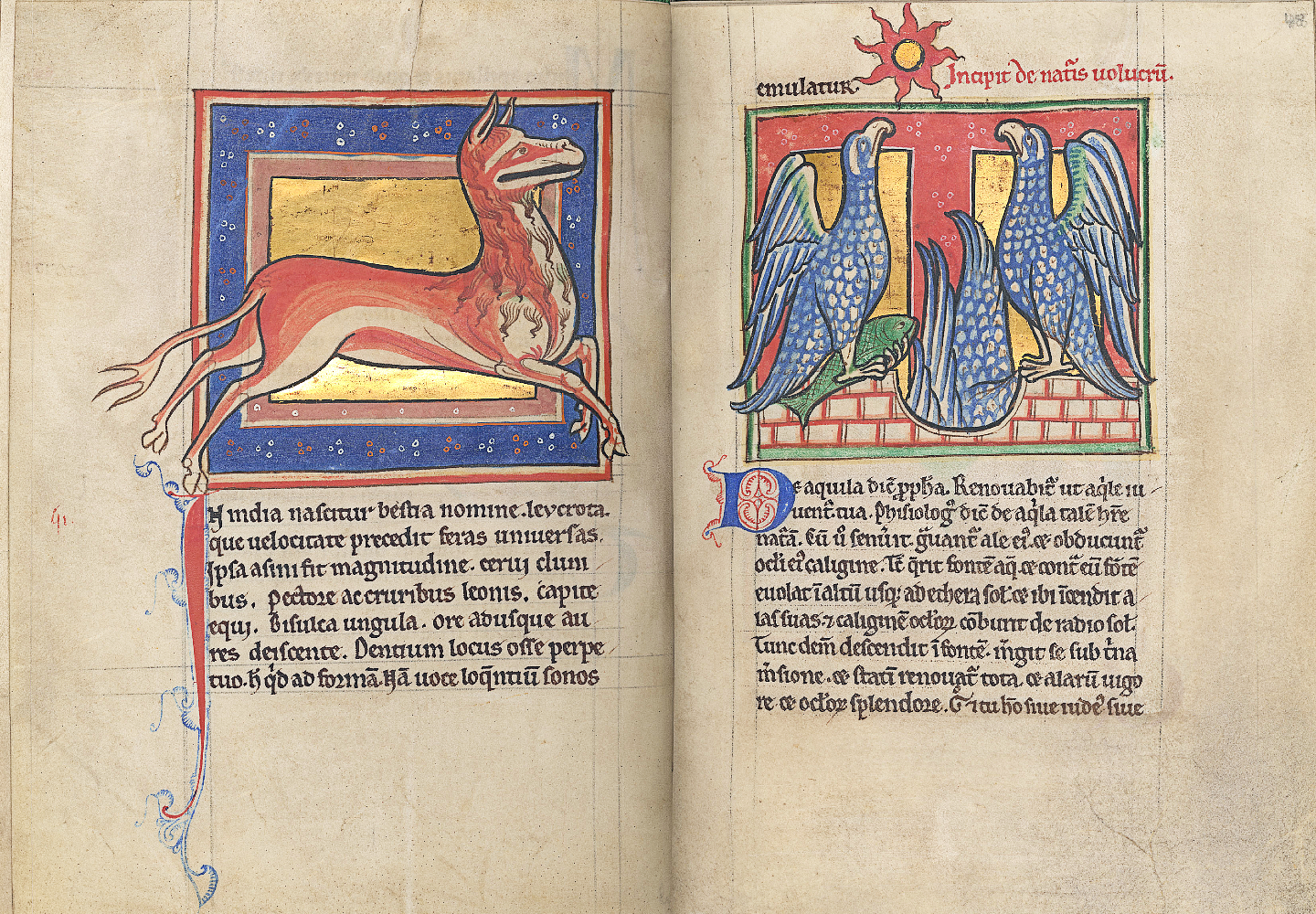 Into the Wild: Medieval Books of Beasts