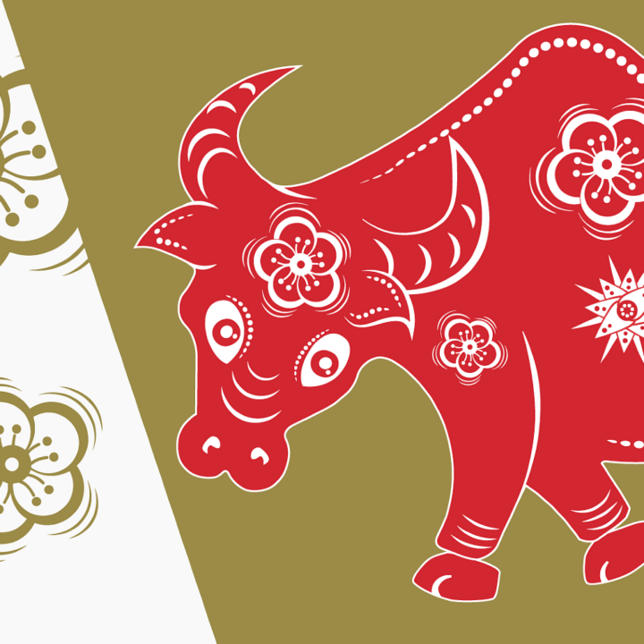 Lunar New Year: Celebrating the Year of&hellip;