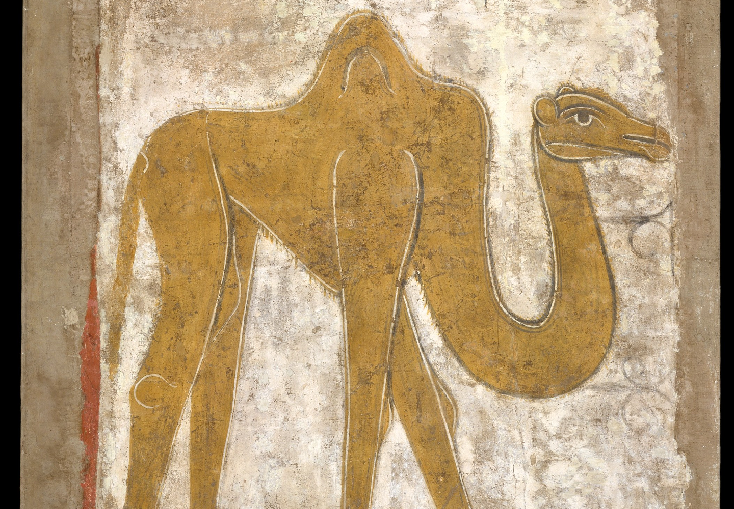 Insider Insights: The Camel at The Cloisters