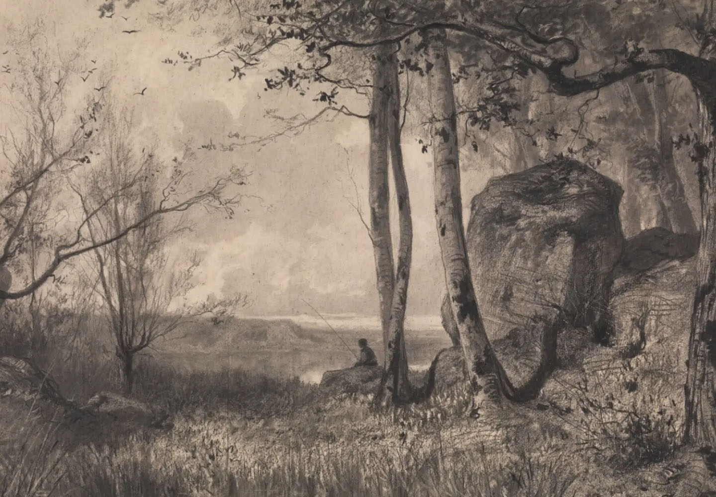 Light and Tone: Selections from the Department of Drawings and Prints