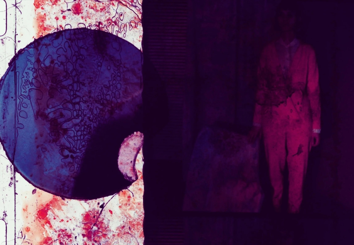 Haunted: Films by Joshua Gen Solondz