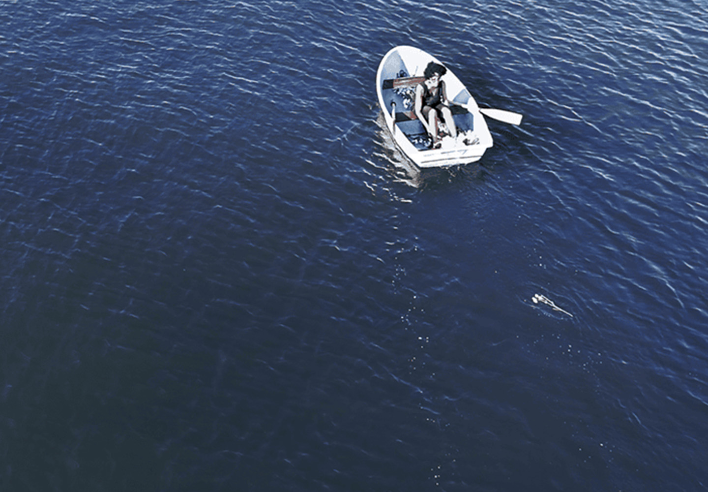 Coco Fusco: Tomorrow, I Will Become an Island