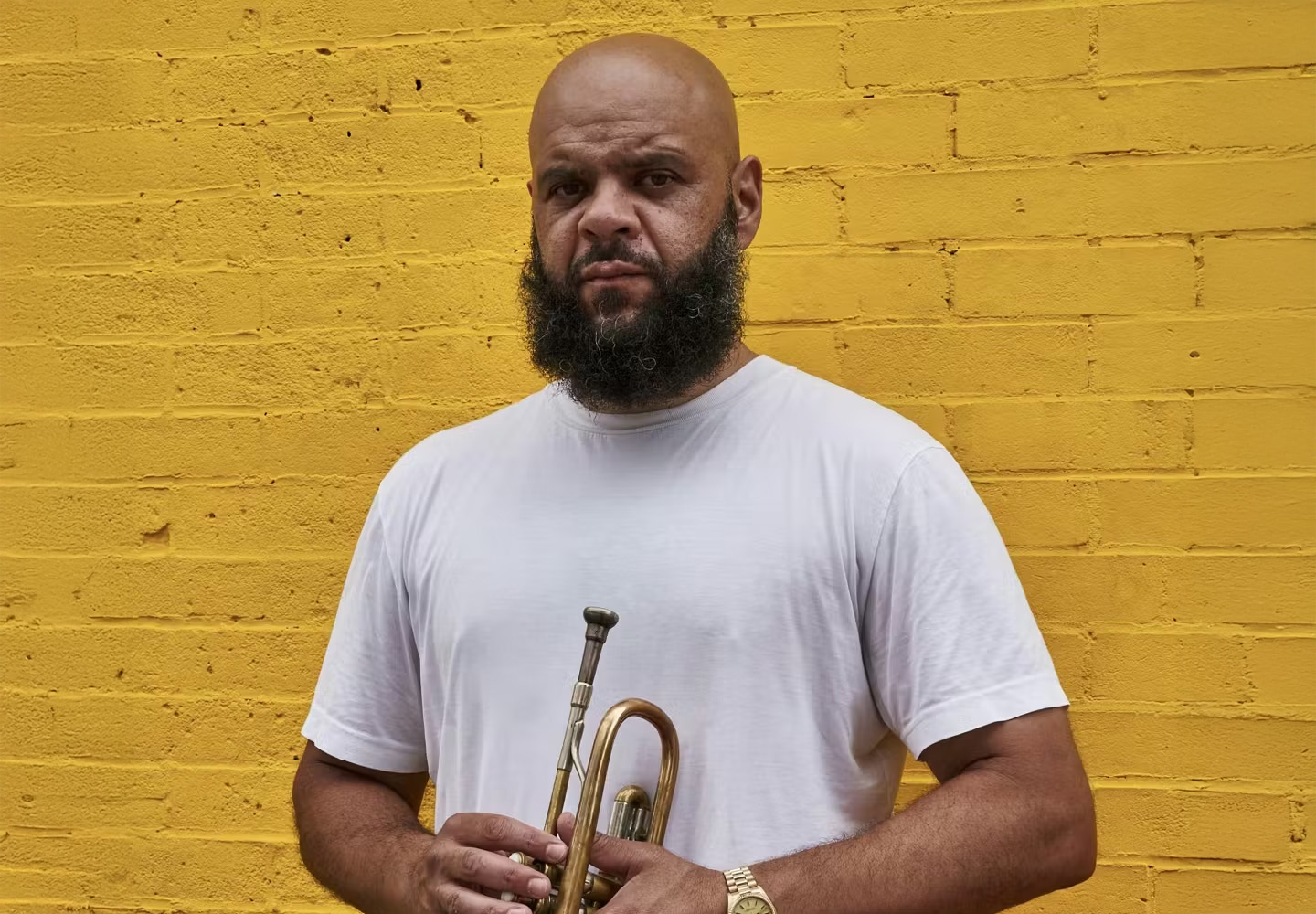 Carnegie Hall Citywide: Dave Guy