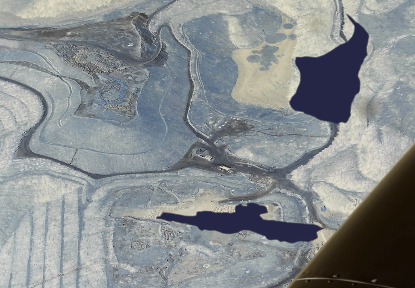 Fia Backström: The Great Society