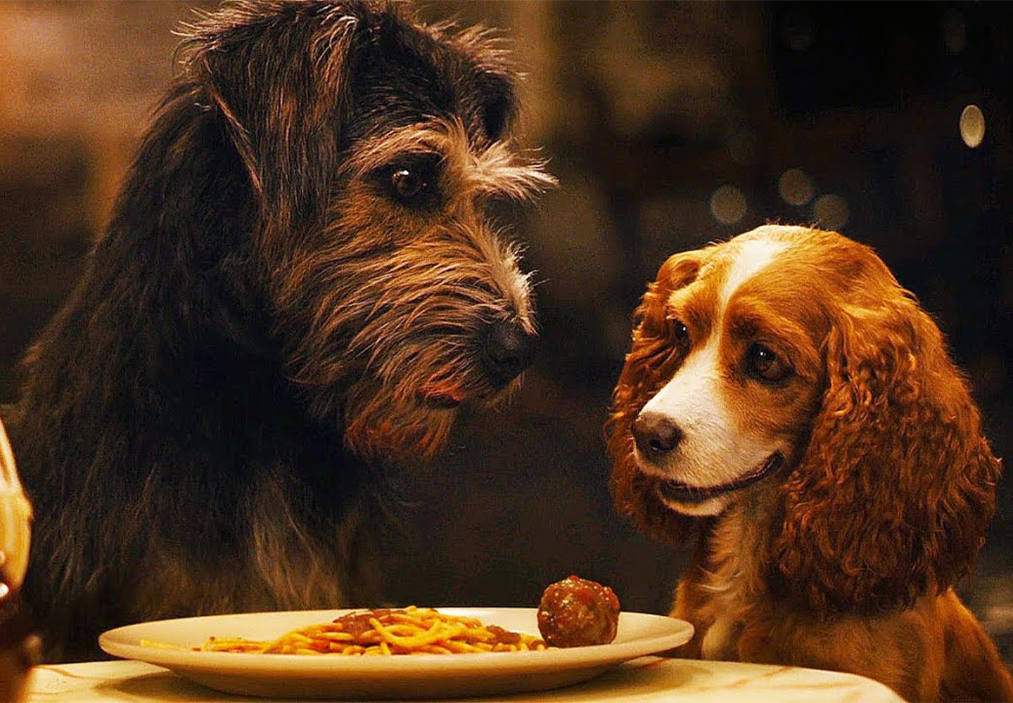 Lady and the Tramp