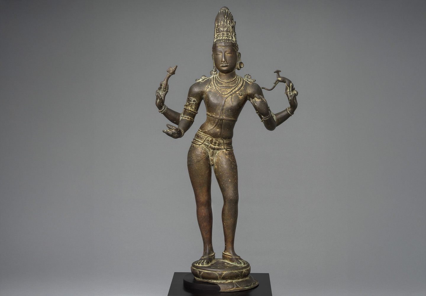 Buddha and Shiva, Lotus and Dragon
