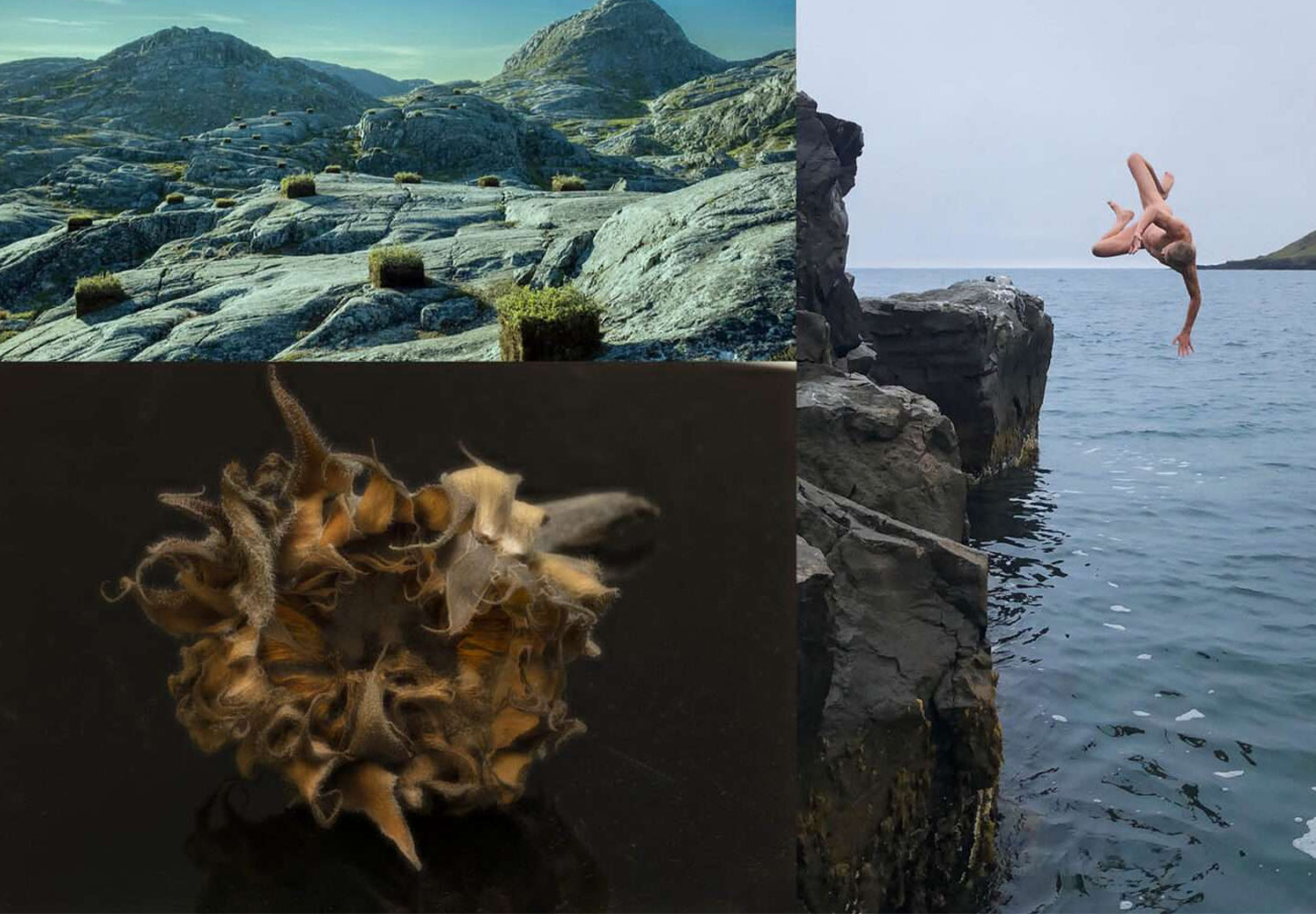 Inside Voices, Outside Light: Perspectives on West Nordic Art