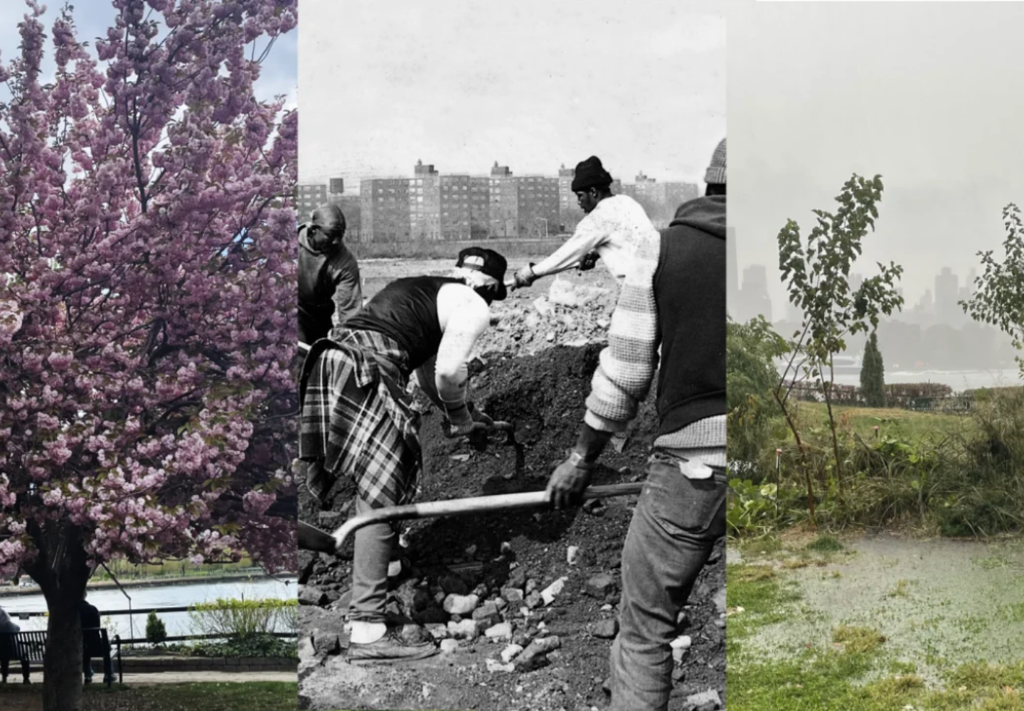 Ecologies of Care